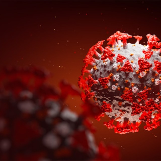 Contagious Disease | OPED COLUMN POLITICS